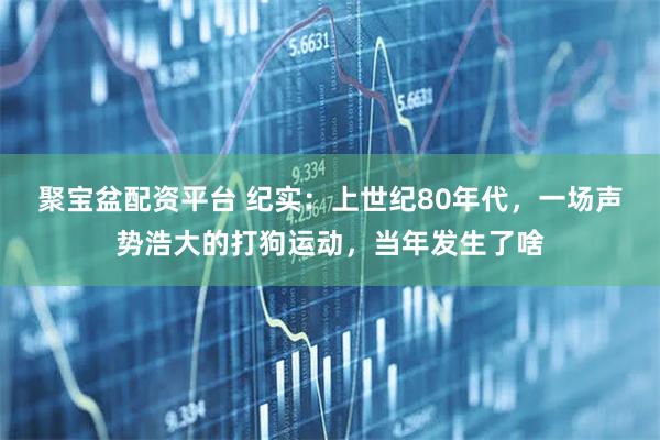 聚宝盆配资平台 纪实:上世纪80年代,一场声势浩大的打狗运动,当年发生了啥