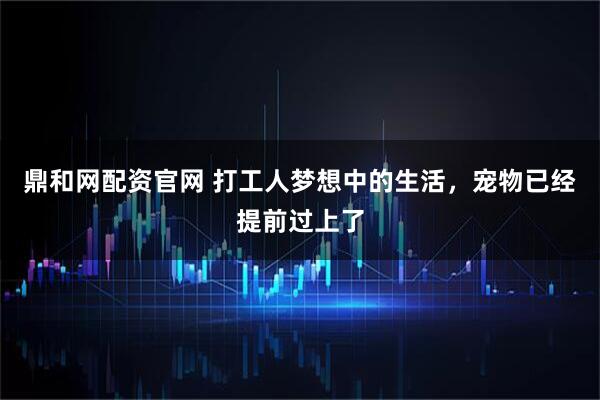 鼎和网配资官网 打工人梦想中的生活，宠物已经提前过上了