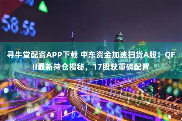 寻牛堂配资APP下载 中东资金加速扫货A股！QFII最新持仓揭秘，17股获重磅配置