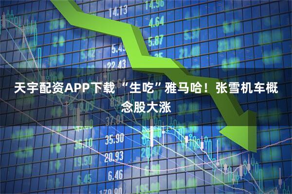 天宇配资APP下载 “生吃”雅马哈!张雪机车概念股大涨