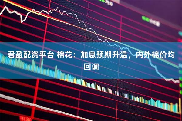 君盈配资平台 棉花：加息预期升温，内外棉价均回调