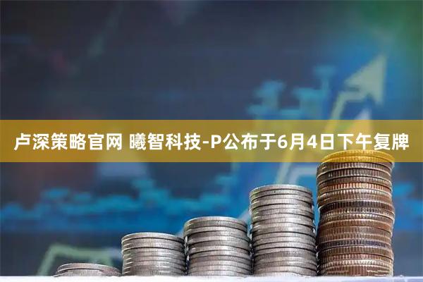 卢深策略官网 曦智科技-P公布于6月4日下午复牌